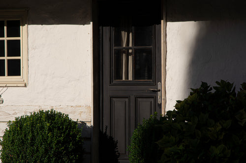 Carte Cadeau "Verte" - Le Roi des Oiseaux